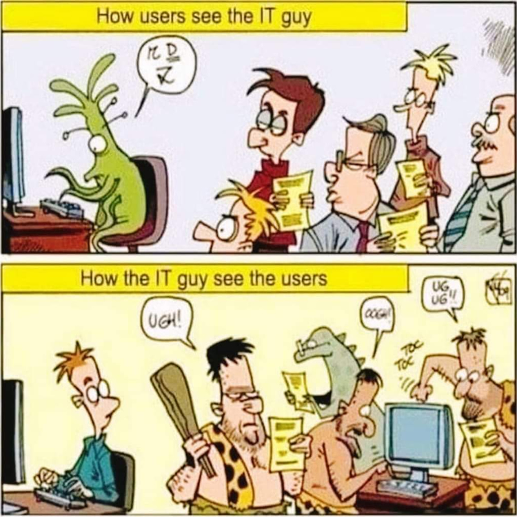 IT vs End User Cartoon
