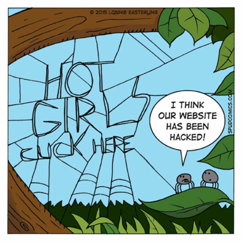 Web Hack Spider Cartoon